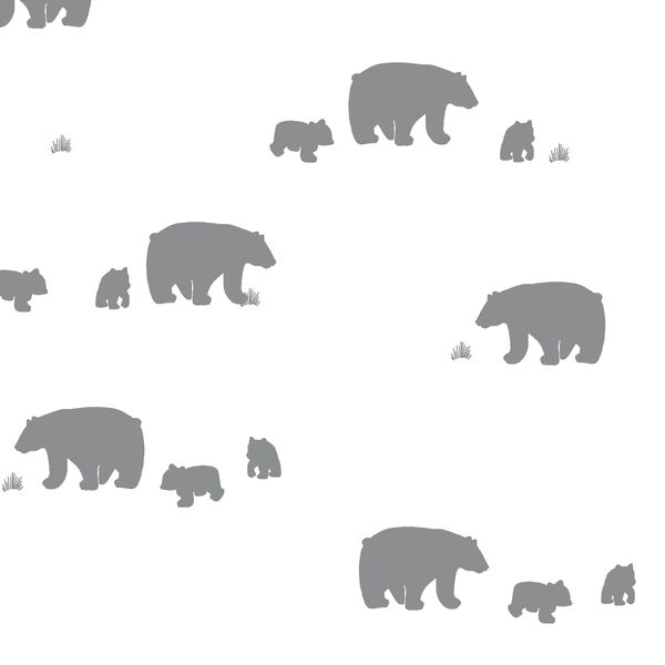 Bear Silhouette in Smoke
