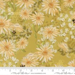 Daisies in Golden