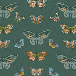 Free Spirited in Evergreen