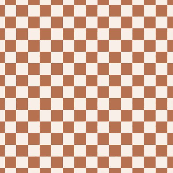 Picnic Blanket in Warm Terracotta