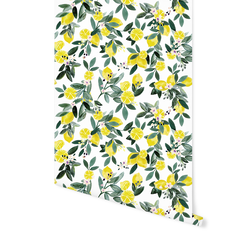 Lemon Grove in White