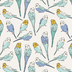 Parakeet Sketches in Sky