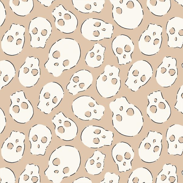 Skulls in Broomstick