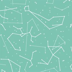 Star Charts in Succulent