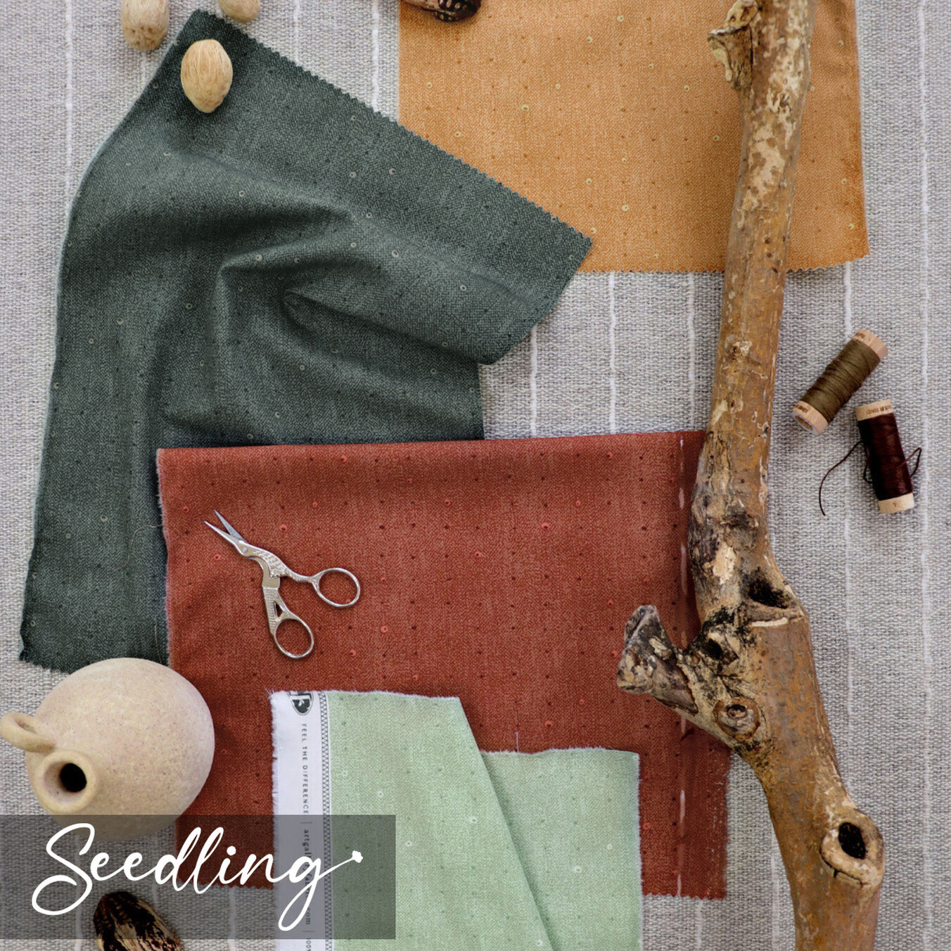 Seedling Poster Image