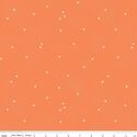 Dainty Daisy in Pumpkin