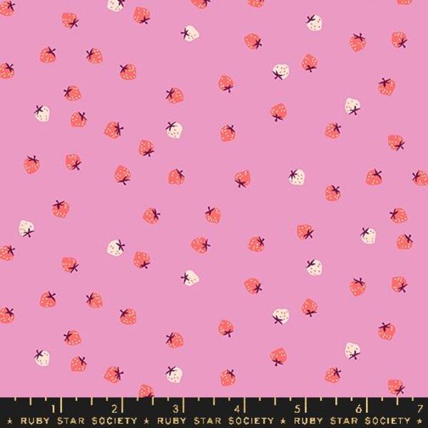 Mini Berry in Daisy