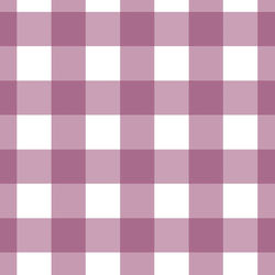 Large Gingham in Raspberry Sherbet