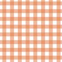 Gingham in Papaya