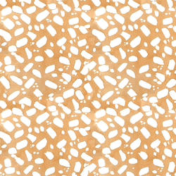 Sand Stones in Warm Desert