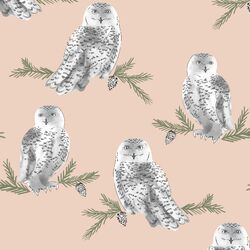 Snowy Owl in Shell