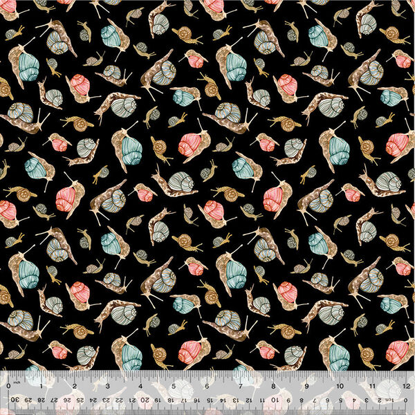 Snails in Black