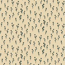 Silhouette Bloom in Glade on Birch