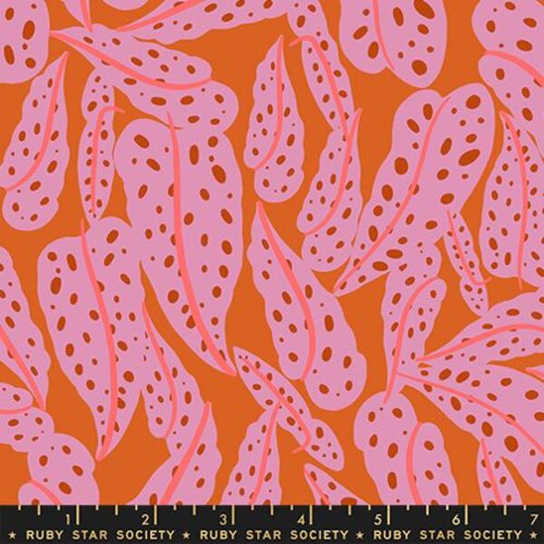 Overlapping Leaves in Orange