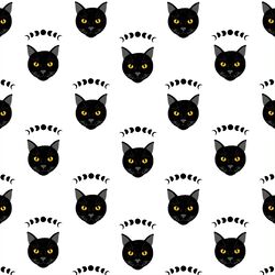 Mystical Cats in White