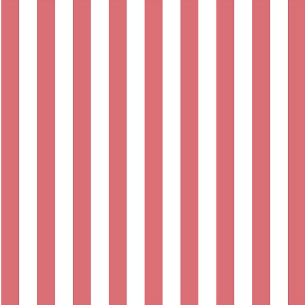 Candy Stripe in Dahlia
