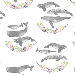 Whale Hello There in Glimmering Shores