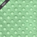 Minky Dimple Dot in Sprout