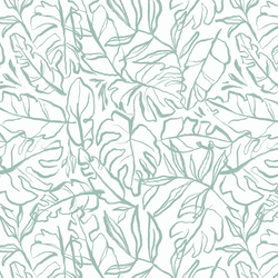 Palm Leaf in Isle on White