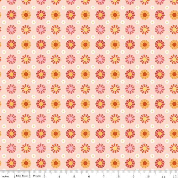 Dresden in Peach