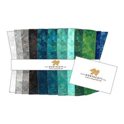 Chroma 2.5" Strip Roll