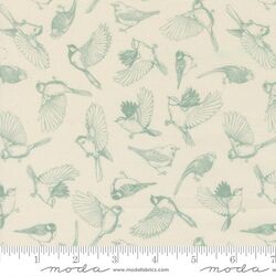 Flock of Feathers in Cloud