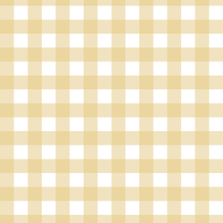 Spring Gingham in Sunlit