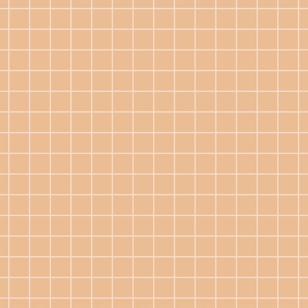 Grid in Pink on Dusty Peach