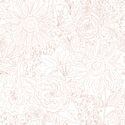 Paperie in Ballet Pink on White