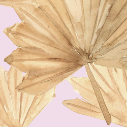 Large Dried Sun Palm in Light Mulberry