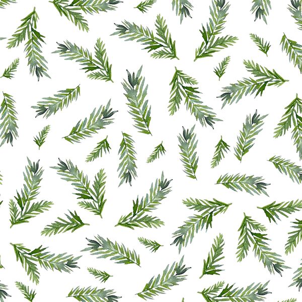 Large Pine Branches in Snow White