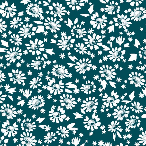 Daisies in Juniper