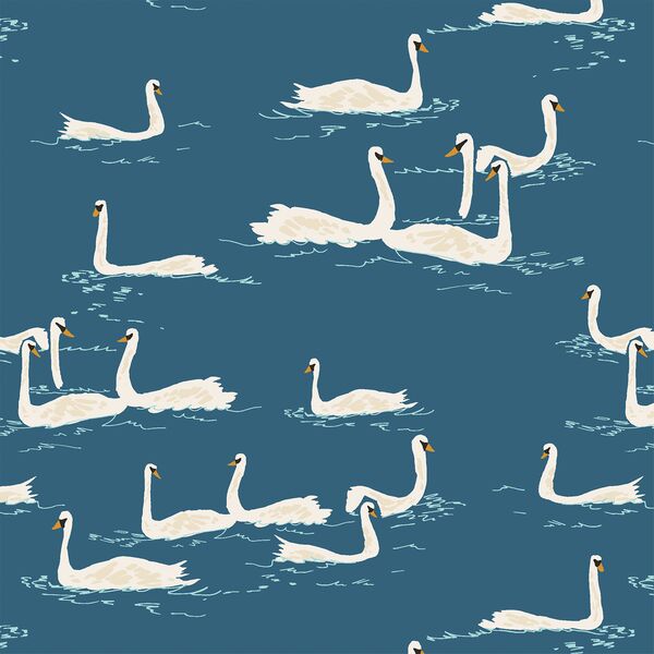 Swan