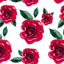 Blooming Roses in Winter