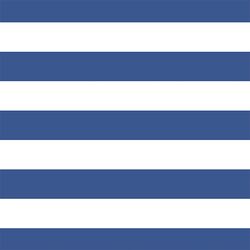 Horizontal Play Stripe in Blue Jay