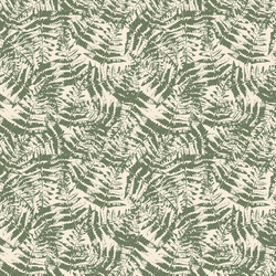 Scattered Ferns in Forest
