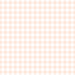 Little Gingham in Light Pink