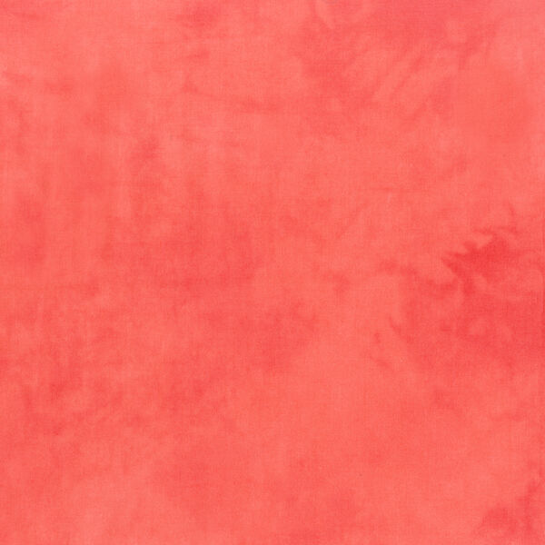 Palette in Salmon