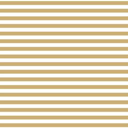 Horizontal Dress Stripe in Golden Canyon