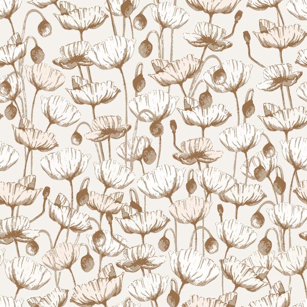 Poppies in Ivory