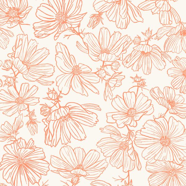 Floral Sketch in Sweet Orange on Cream