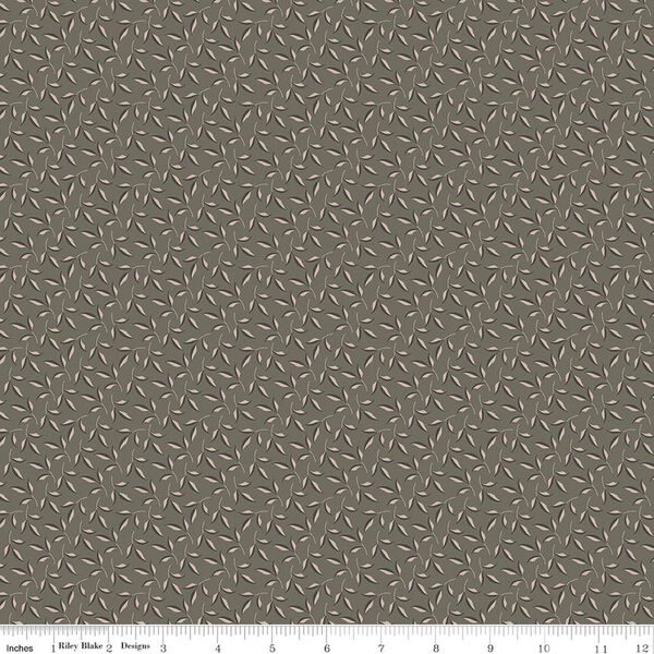 Evergreen in Gray