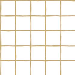 Windowpane in Golden Canyon on White