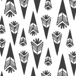 Arrowheads in Onyx