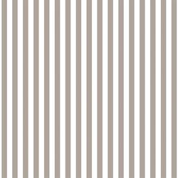 Dress Stripe in Taupe