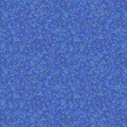 Forget-Me-Not in Blue