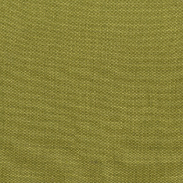 Artisan Cotton Yarn-Dye in Olive Light Olive