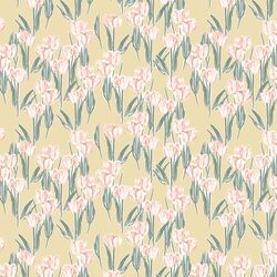 Tulips in Dawn