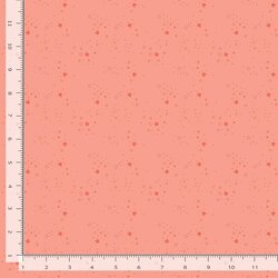 Kitty Litter Blender in Salmon