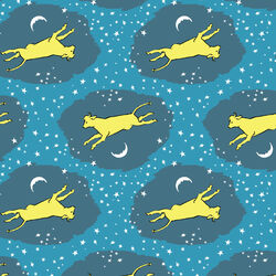 Over the Moon in Night